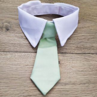 Cravate verte avec col